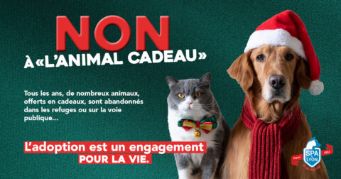 Affiche de sensibilisation concernant les animaux offerts à Noël