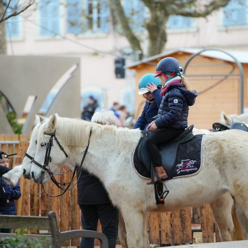 balade à poney à Villefranche
